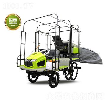 2ZPY-13DC(j)-(lin)r(nng)I(y)