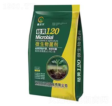 ΢-S120-֠-֠r(nng)I(y)