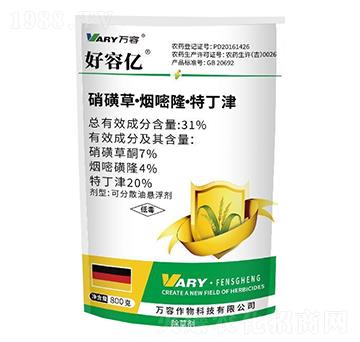 31%ǲݡ¡ض-݃|-f(wn)