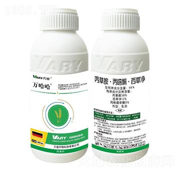 48%ݰfͪ݃-f(wn)-f(wn)