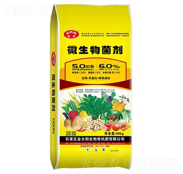 ΢(ni)Sػ|(zh)Tᣩ--̫