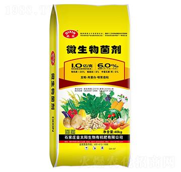 1|΢(ni)Sػ|(zh)Tᣩ--̫