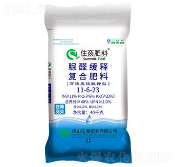 ȩጏ(f)Ϸ11-6-23-סؑ-ס̷