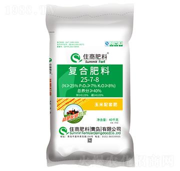 N׌ҏ(f)Ϸ25-7-8-ס̷