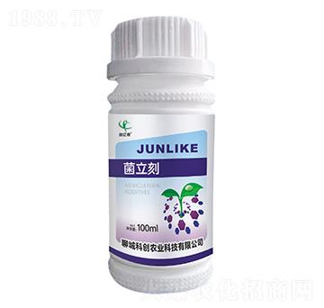 -(chung)|z-ĳǿƄ(chung)