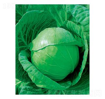 иʮһ{(ln)N-̫(l)NI(y)