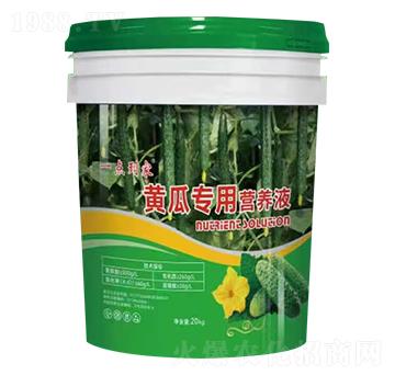 SόàI(yng)B(yng)Һ-һc(din)-΢