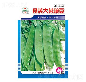 㶹N-ʳv㶹-̫(l)NI(y)