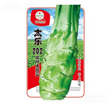 ˷N-̫(l)202-̫(l)NI(y)