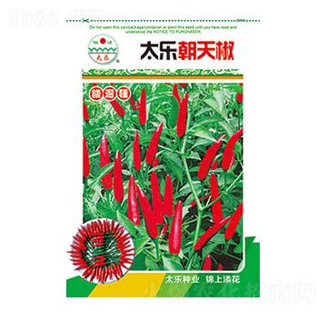 N-̫(l)콷-̫(l)NI(y)