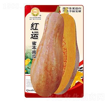 ϹϷN-t\(yn)۱Ϲ-̫(l)NI(y)