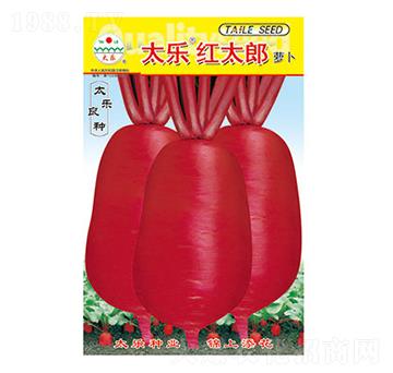 }N-̫(l)t̫-̫(l)NI(y)