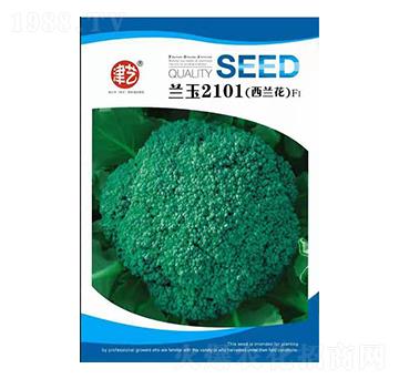 mN-{(ln)2101-Sr(nng)I(y)