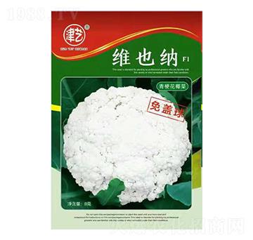 ˷N-SҲ{-Sr(nng)I(y)