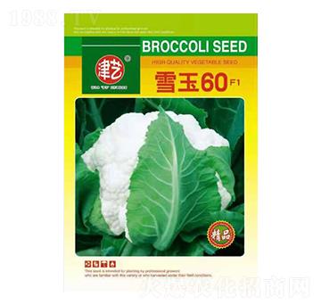 ˷N-ѩ60-Sr(nng)I(y)