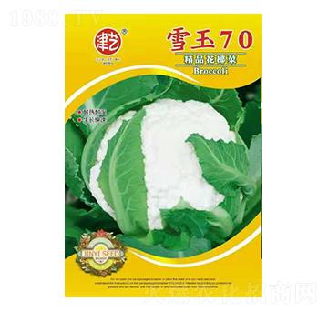 ˷N-ѩ70-Sr(nng)I(y)