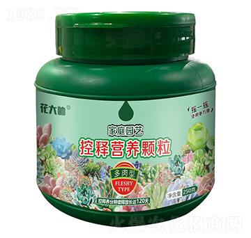 ͼͥ@ˇጠIB(yng)w--GַʘI(y)