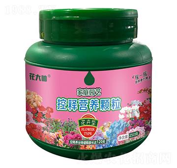 ͼͥ@ˇጠIB(yng)w--GַʘI(y)