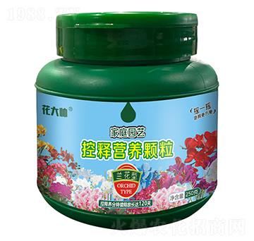 mͼͥ@ˇጠIB(yng)w--GַʘI(y)