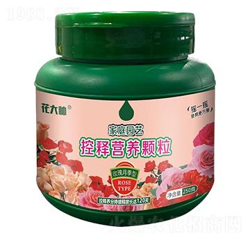 õ¼ͼͥ@ˇጠIB(yng)w--GַʘI(y)