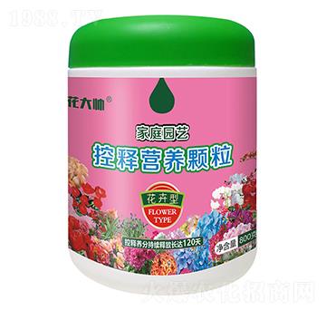 800˻ͼͥ@ˇጠIB(yng)w--GַʘI(y)