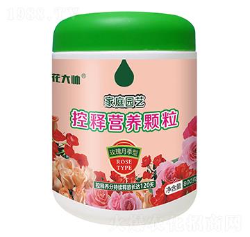 800õ¼ͼͥ@ˇጠIB(yng)w--GַʘI(y)