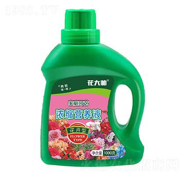 ͼͥ@ˇsI(yng)B(yng)Һ--GַʘI(y)