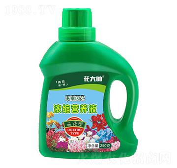 mͼͥ@ˇsI(yng)B(yng)Һ--GַʘI(y)