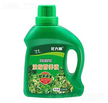 G}ͼͥ@ˇsI(yng)B(yng)Һ--GַʘI(y)