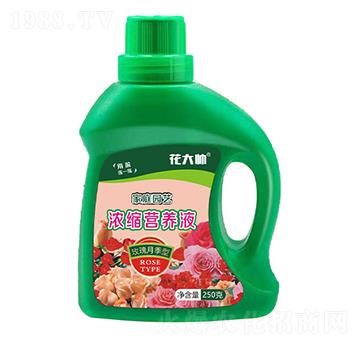 õ¼ͼͥ@ˇsI(yng)B(yng)Һ--GַʘI(y)