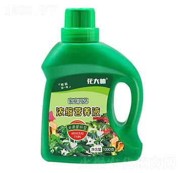 ǿͼͥ@ˇsIB(yng)Һ--GַʘI(y)