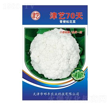 ˷N-ˇ70-Sr(nng)I(y)