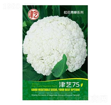 ˷N-ˇ75-Sr(nng)I(y)