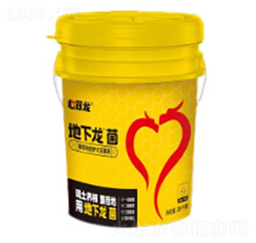 زؾo(h)󶹾Һ--p-ɽp