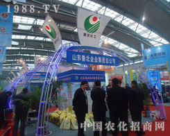 Pע׏ͷʕ ˽ɽ|ӑB(ti)