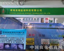 ຣ߶}½r(nng)Y(hu)V(xi)xƪ