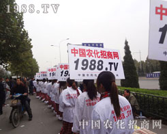 r(nng)̾W(wng)ʿMo޻