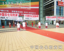 2012ɽ|ֲ(hu)ȼ Zȡɹ