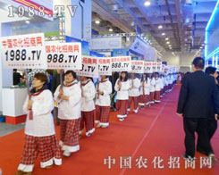 e۳ɹĽ(jng)(yn)1988.TVδ(li)