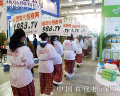 r(nng)̾W(wng)挦(du)(zhn)˿s