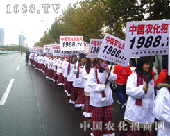 ҊC1988.TVݴ(qing)(sh)