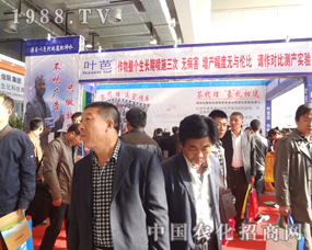 (j)ֲ~ֻЧţďV