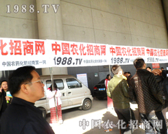 28ֲչr(nng)̾W(wng)(qing)(sh)ƏV