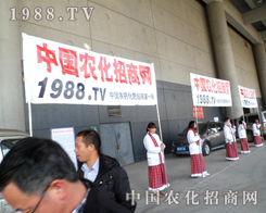 KmL(fng)(du)ɫƏVի@˵P(gun)ע