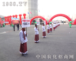 28ֲ(hu)r(nng)W(wng)c(hu)˲Ŀ۹