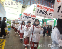 vwr(nng)̾W(wng)28ֲ