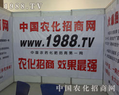 1988.TVˣ؟(z)һoǰ