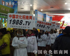 ԛQ(zh)ЛQr(nng)ضɹ