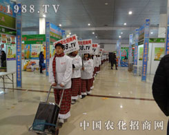 r(nng)W(wng)c(din)ȼԼļ