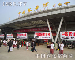 r(nng)W(wng)ԹеˑB(ti)A˅(hu)P(gun)עĿ